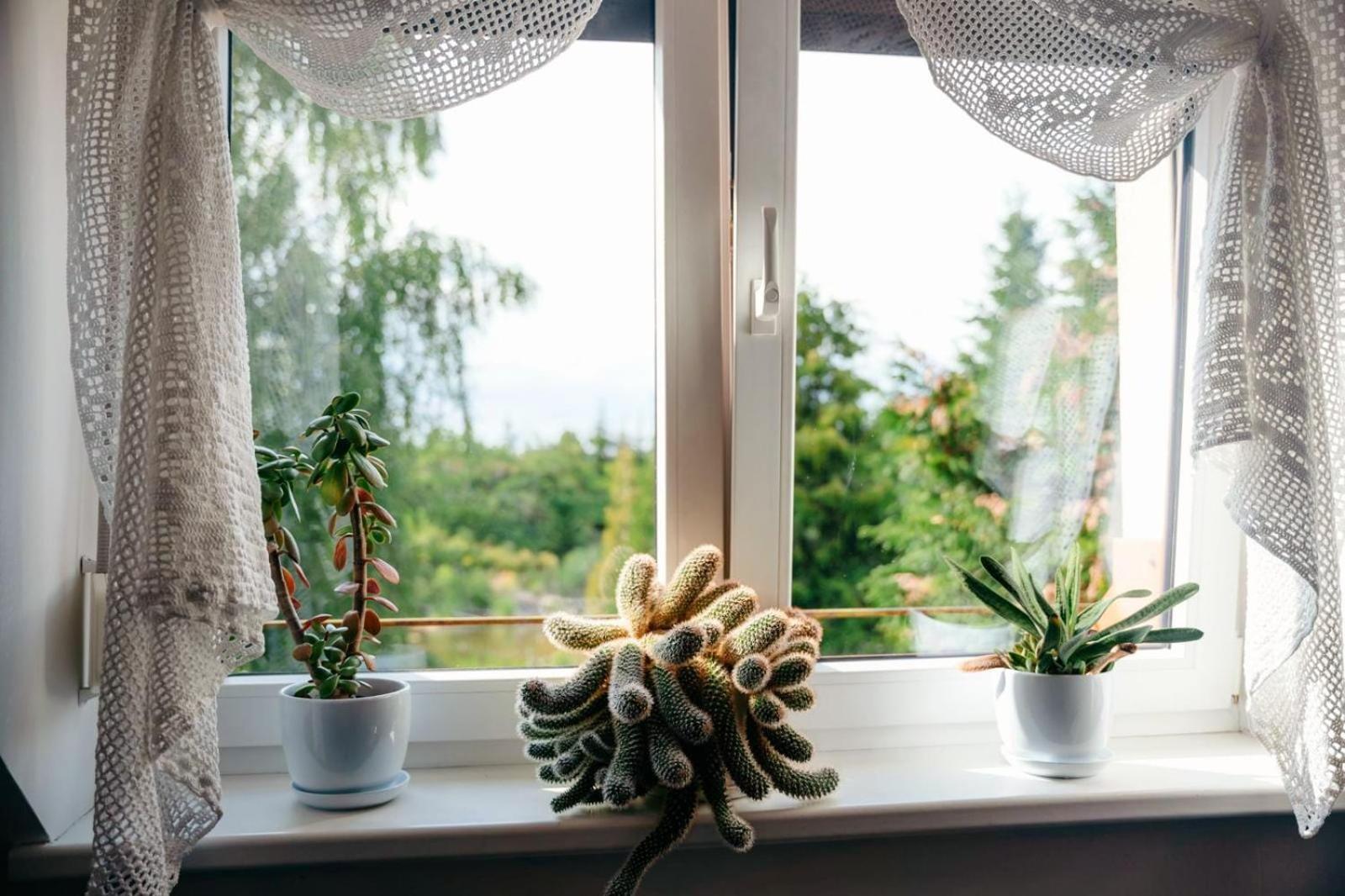 Zielona Parcela Pisz Eksteriør billede